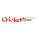 Cricket Magazine Coupons 2016 and Promo Codes