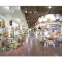 Kremp Florist Coupons 2016 and Promo Codes