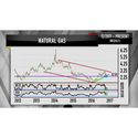 Most Will Trading Limited Coupons 2016 and Promo Codes