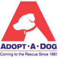 ADOPTED Coupons 2016 and Promo Codes