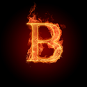 B&nd Coupons 2016 and Promo Codes
