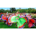 Grupo Folklorico Los Laureles Coupons 2016 and Promo Codes