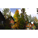North Lake Lodges Villas Coupons 2016 and Promo Codes
