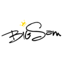 Big Sam Coupons 2016 and Promo Codes