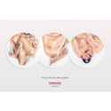 Condomania Coupons 2016 and Promo Codes