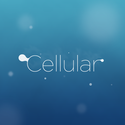Jeff Benjamin Coupons 2016 and Promo Codes