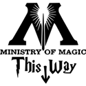 Magic toilet Coupons 2016 and Promo Codes