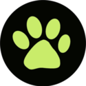 NOir Jewelry Coupons 2016 and Promo Codes