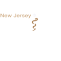 Perry Stein Coupons 2016 and Promo Codes